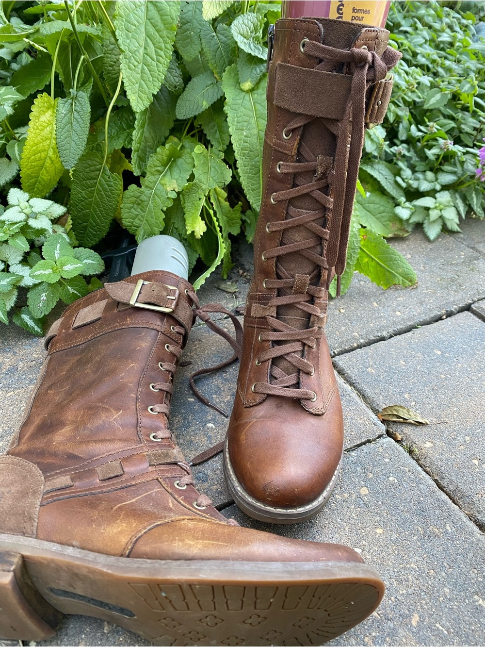 Timberland Earthkeepers Savin Hill Mid Tobacco Leather Boots (7) Fall Sale